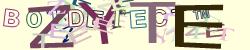 Retype the CAPTCHA code from the image